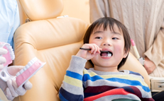 主な健康相談内容